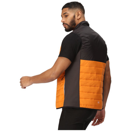 Herrenweste Regatta Halton B/W VII