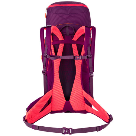 Damenrucksack Salewa Alp Trainer 30+3 WS