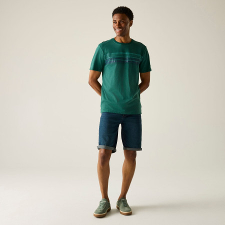 Herren-T-Shirt Regatta Rendro