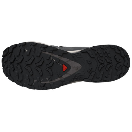 Herrenschuhe Salomon Xa Pro 3D V9