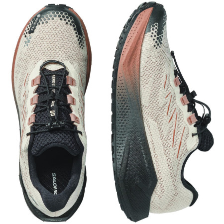 Herrenschuhe Salomon Aero Blaze 4 Grvl Gtx