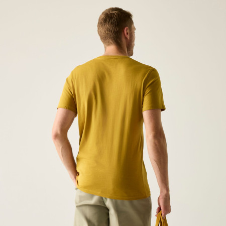 Herren-T-Shirt Regatta Breezed