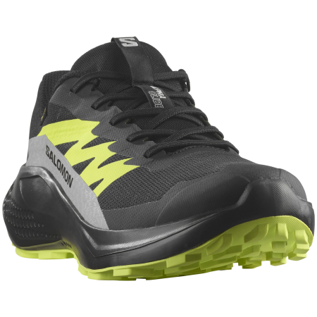 Herren Laufschuhe Salomon Alphaglide Gore-Tex