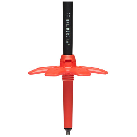 Skialp-Stöcke Black Diamond Traverse Ski Poles