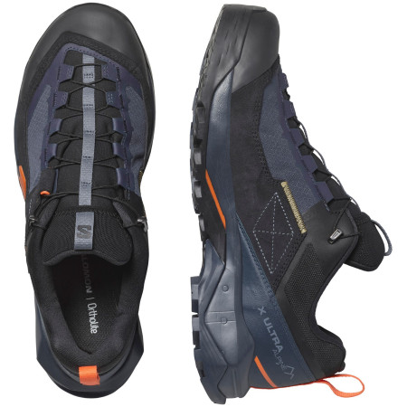 Herrenschuhe Salomon X Ultra Alpine Gore-Tex