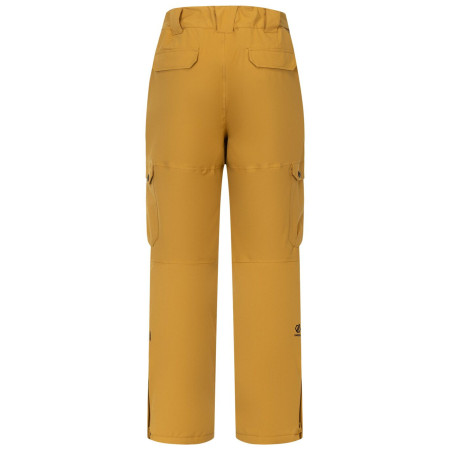 Herrenhose Dare 2b Baseplate Insulated Pant