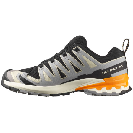 Herrenschuhe Salomon Xa Pro 3D V9