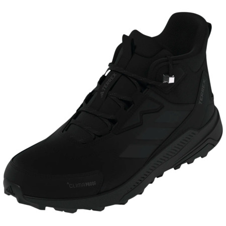 Wanderschuhe Adidas Terrex Anylander Leather Mid Climaproof