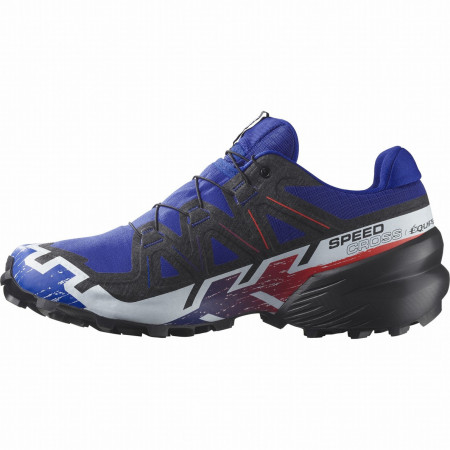 Herrenschuhe Salomon Speedcross 6 Gore-Tex Equipe