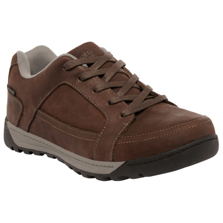 Herrenschuhe Regatta Stanly Low Nubuk braun