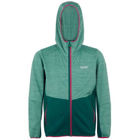 Kinder-Sweatshirt Regatta Prenton III grün DstyGn/RnFst