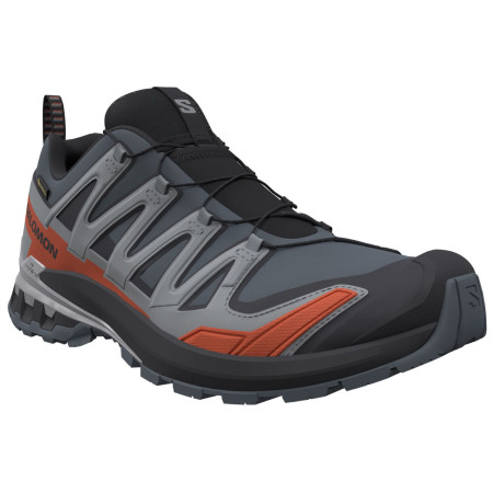 Wanderschuhe Salomon Xa Pro 3D V9 Gore-Tex