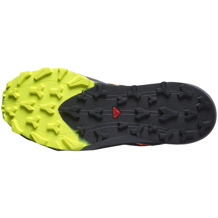 Herrenschuhe Salomon Thundercross