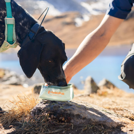 Faltbare Schüssel Hydrapak Rover Dog Bowl