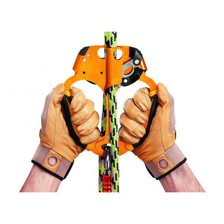 Seilklemme Petzl Ascentree