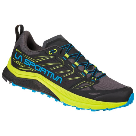 Herrenschuhe La Sportiva Jackal GTX schwarz Black/Neon