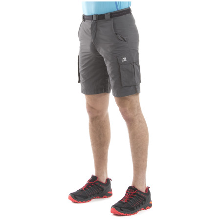Shorts Alpine Pro Licurgo grau