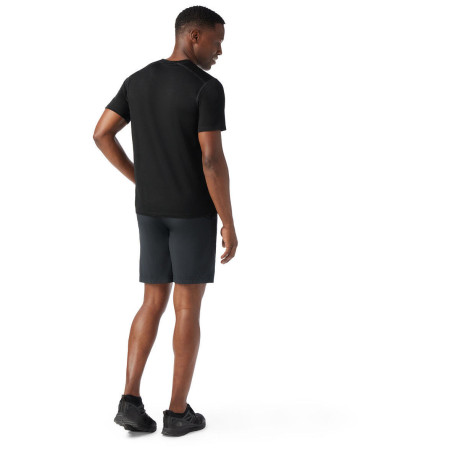 Herren-T-Shirt Smartwool Merino Short Sleeve Tee Boxed