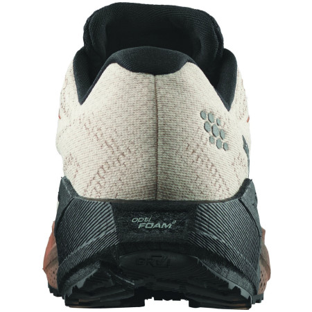 Herrenschuhe Salomon Aero Blaze 4 Grvl Gtx