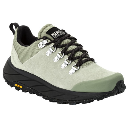 Damenschuhe Jack Wolfskin Terraventure Urban Low grün mint leaf