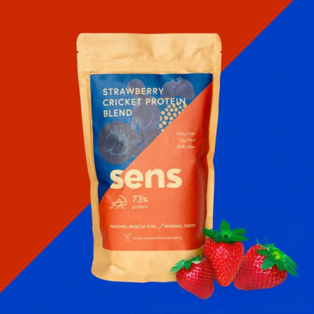 Protein-Drink Sens Shake blend - Erdbeere 455 g