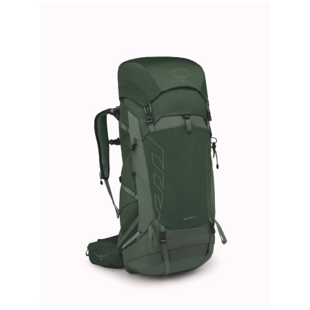 Herren Rucksack Osprey Talon 44 grün green canopy/pine leaf