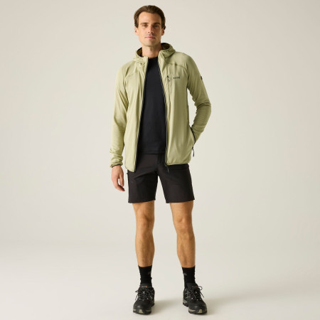 Herren-Sweatshirt Regatta Kadley Midlayer