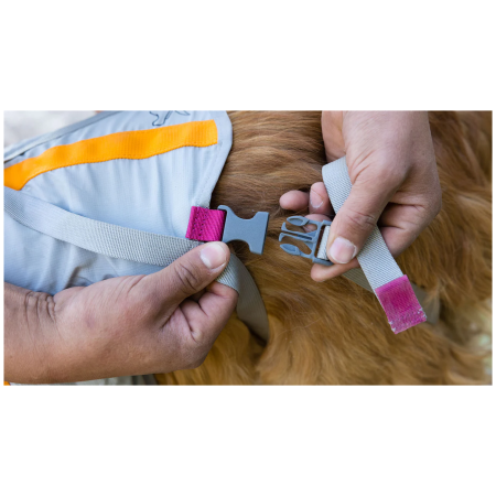 Hundegeschirr Ruffwear BackTrak™ Dog Evacuation Kit