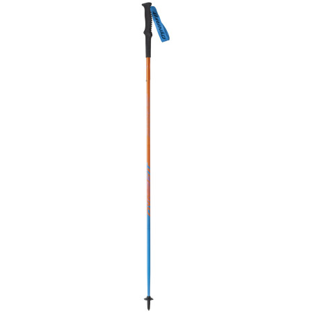 Stöcke Dynafit Vertical Pole blau general Lee / methyl blue
