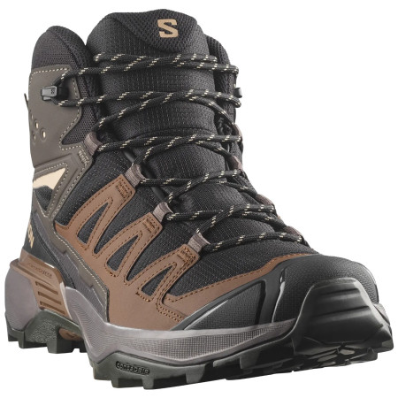 Herrenschuhe Salomon X Ultra 360 Mid Gore-Tex
