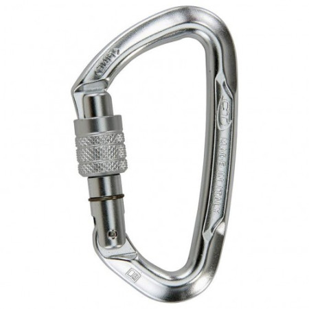 Karabiner Climbing Technology Lime SG silber silver