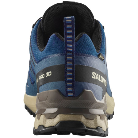 Wanderschuhe Salomon Xa Pro 3D V9 Gore-Tex