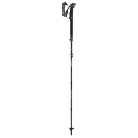 Trekkingstöcke Leki Makalu FX Carbon