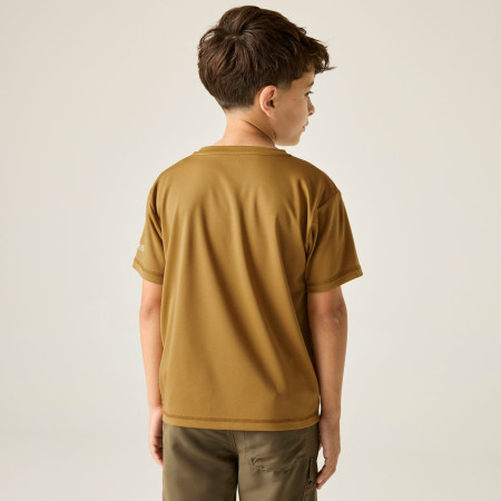Kinder-T-Shirt Regatta Alvarado Wood Brown
