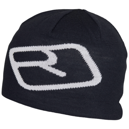 Mütze Ortovox Pro Beanie schwarz Black Raven
