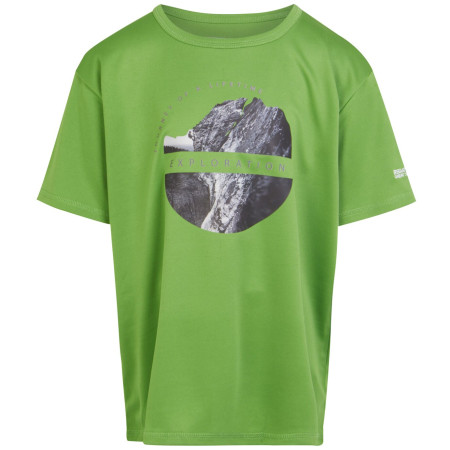 Kinder-T-Shirt Regatta Alvarado VIII grün Piquant Green
