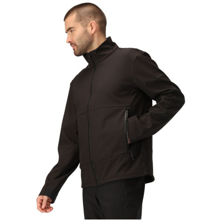 Herren-Sweatshirt Regatta Dendrick