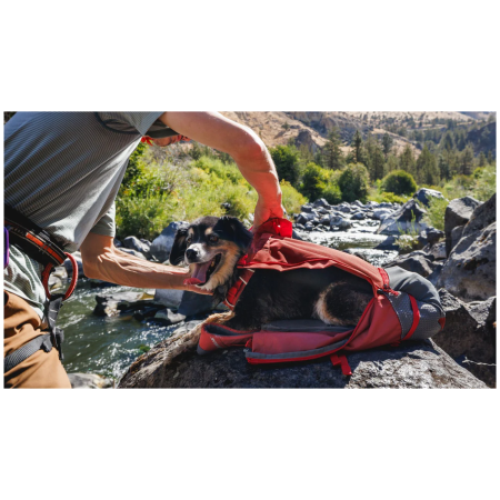Hunderucksack Ruffwear Hitch Hiker™ Dog Backpack Carrier