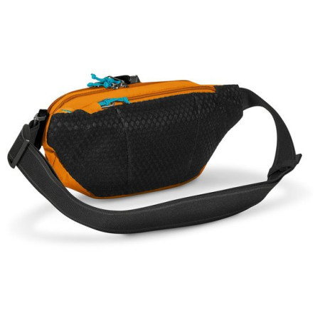 Hüfttasche Pacsafe ECO waist pack