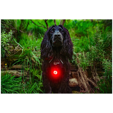 Hundelicht Mountain Paws Dog Safety Light