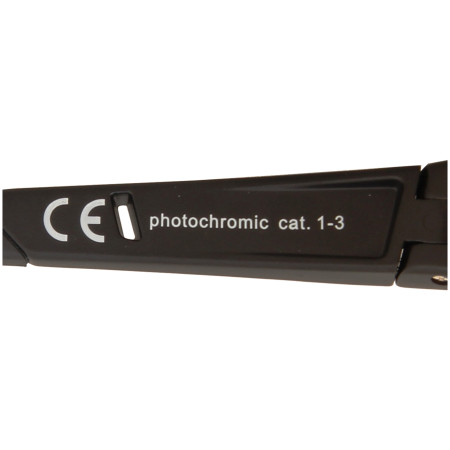 Sonnenbrille Axon Futura