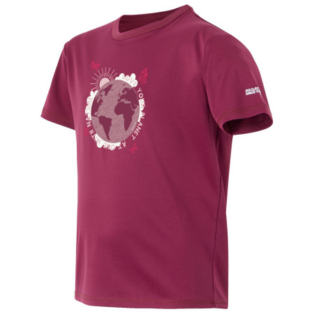 Kinder-T-Shirt Regatta Alvarado IX