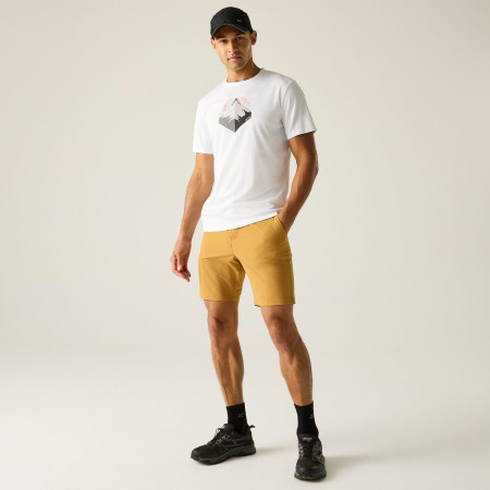 Herrenshorts Regatta Anti-Insect Travel Light Shorts