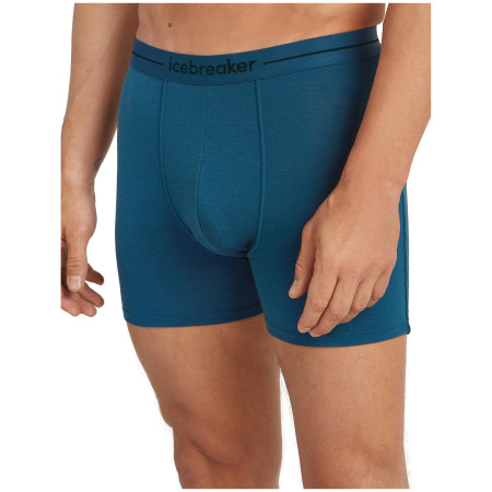 Herren-Boxershorts Icebreaker Men Merino 150 Anatomica Boxers