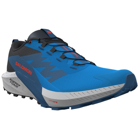 Herren Laufschuhe Salomon Sense Ride 5 blau French Blue / Black / Dark Blue