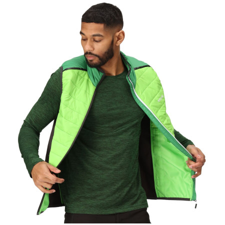 Herrenweste Regatta Halton B/W VII