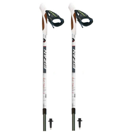 Stöcke Fizan NW Fitness grau/schwarz