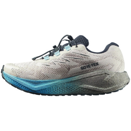 Herrenschuhe Salomon Aero Blaze 4 Grvl Gtx