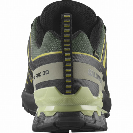 Wanderschuhe Salomon Xa Pro 3D V9 Gore-Tex