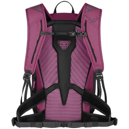 Damen Wanderrucksack Dynafit Transalper 22 Backpack W